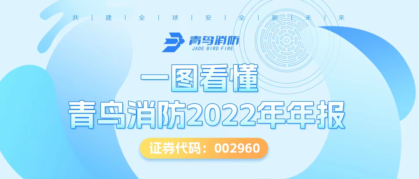 一图看懂豪门国际2022年年报