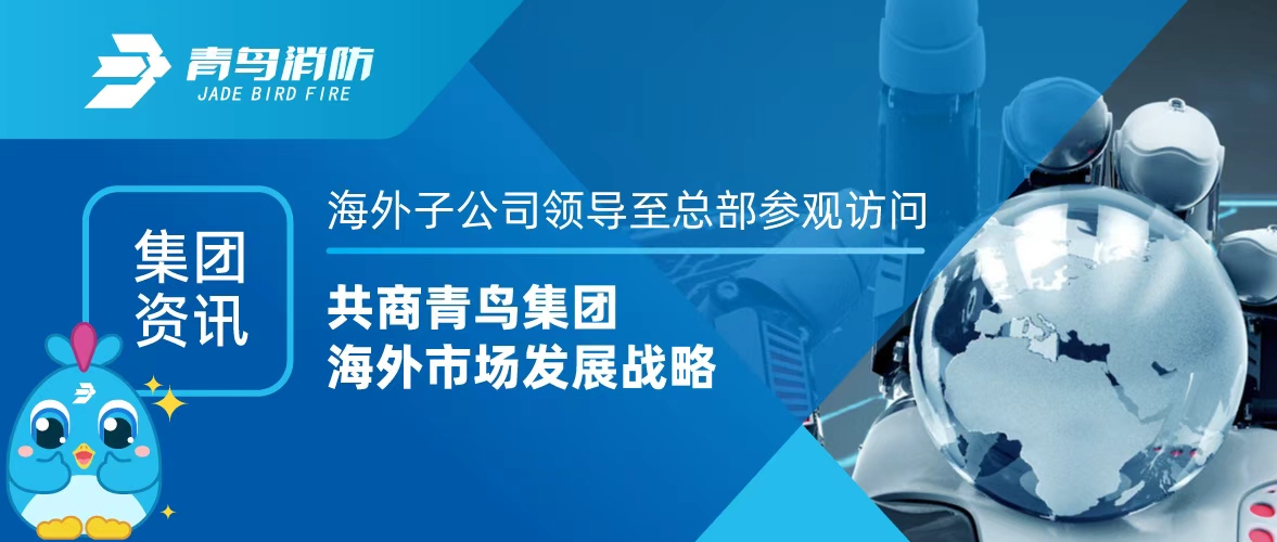 集团资讯 | 外洋子公司向导至总部旅行会见，，，，，共商青鸟集团外洋市场生长战略